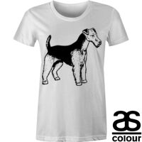 AS Colour - Women's Wafer Crew Tee (Slim Fit) Thumbnail