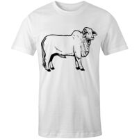 Sportage Adult Regular T-shirt Thumbnail