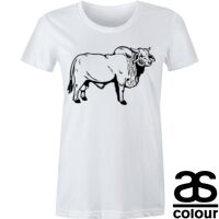 Sportage - Women's Regular Crew T-shirt Thumbnail