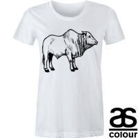 Sportage - Women's Regular Crew T-shirt Thumbnail