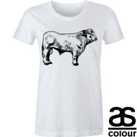 Sportage - Women's Regular Crew T-shirt Thumbnail